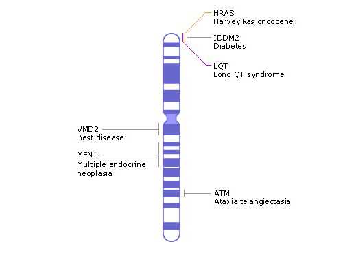 代怀孕哪家最靠谱_代怀好吗,芗城区特殊家庭再生育 可获2万元试管婴儿生殖补