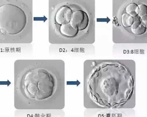 四川代孕网吕进峰,四川省生殖专科医院