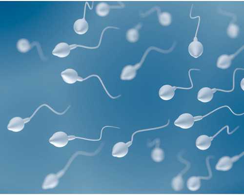 国内代怀_正规代怀企业,上海试管代怀生子医院排名附试管助孕机构一览