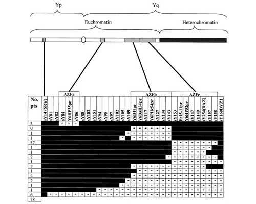 靠谱的代怀价格表_自卵代怀付款流程,江苏三代供卵生男孩医院排名！附代怀生