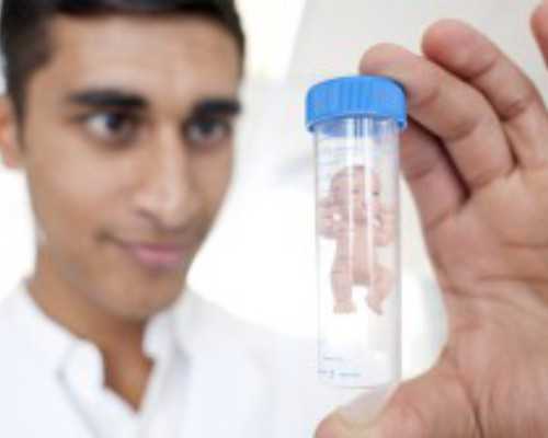 借卵试管利弊_借卵子生子之后,北京朝阳医院借卵试管包男孩多少钱？十万够吗