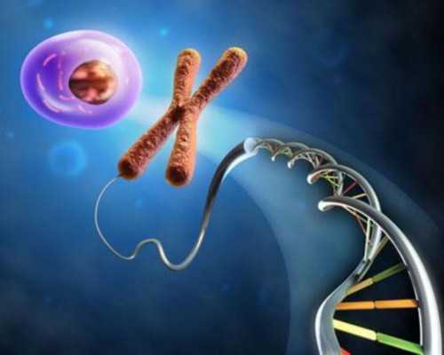 成都代怀生子,成都做试管成功率较高的医院有哪些