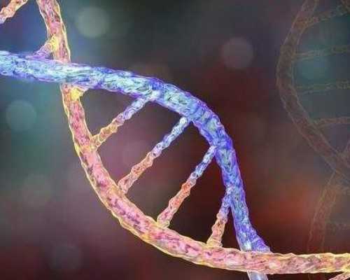 四川地区进行三代试管大概需要花费多少？,2026四川试管婴儿费用明细表，附四