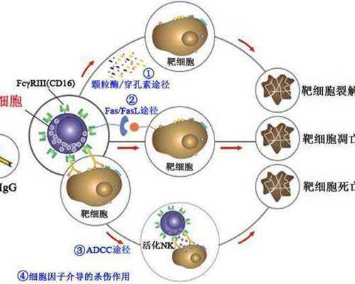 四川做试管多少钱？,在四川做一次二代试管婴儿需要多少钱？