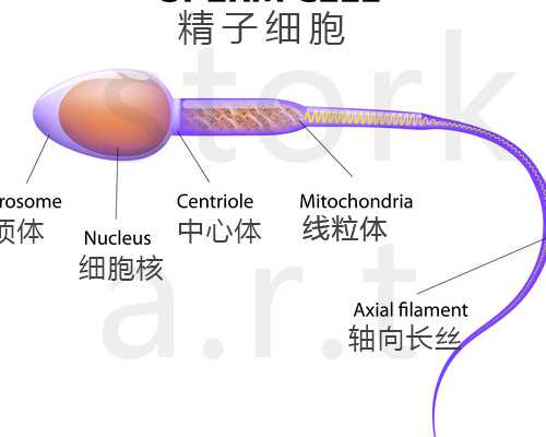 代怀小孩宝宝_代怀成功率多少,「美国试管婴儿10大最佳诊所」睾丸缺失会影响