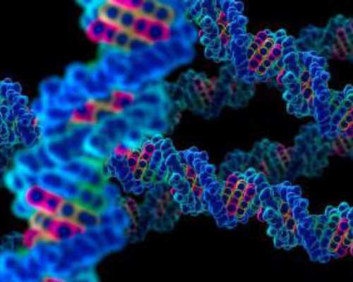 代怀生子成功经验|佛山供卵试管婴儿的医院：佛山供卵试管婴儿的医院排名