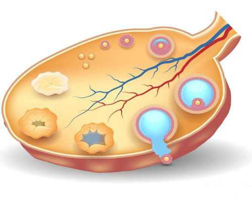 羊水指数深度哪个准