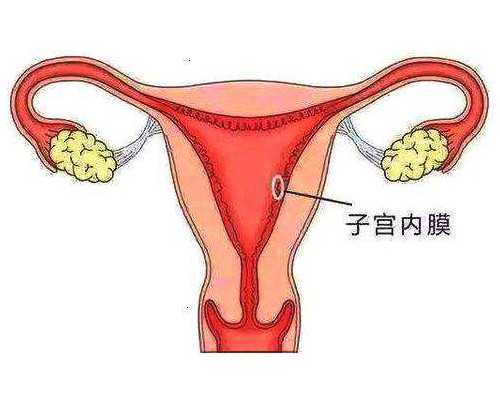 丰胸的最佳时间