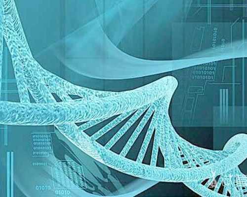 47借卵自怀_国内借卵试管,我国可以借卵做试管婴儿的有哪几家公立医院