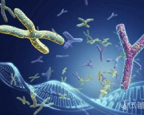 帮别人代生为法吗,试管婴儿的精子是从哪里来的 试管婴儿怀孕时间是从什么时