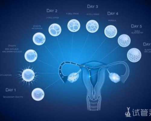 司法鉴定太黑了？如何维护自己的权益