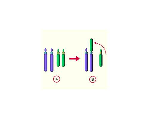 四川捐卵公司 ,2026年四川省妇幼捐卵试管收费表公示 附四川权威*试管医院排名