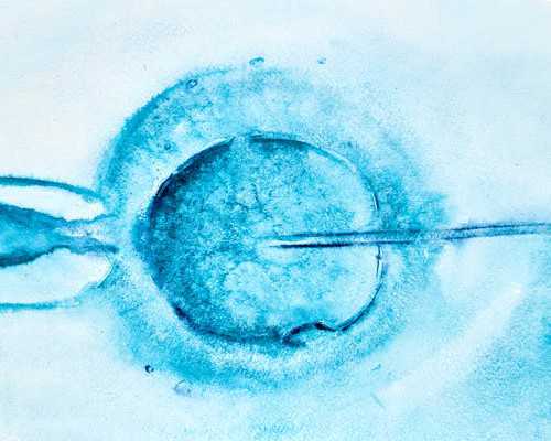 借卵自孕成功率_试管借卵费用,南昌三代借卵试管生男孩多少钱附费用明细